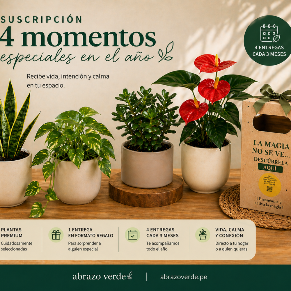 Suscripción Vida en Casa – 4 Momentos del Año