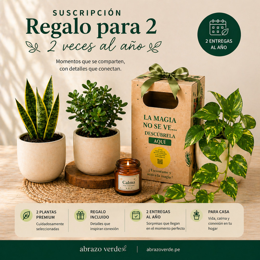 Un Regalo y un Momento para Ti – Suscripción 2 Entregas