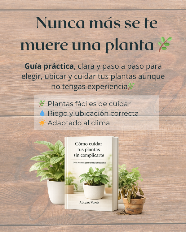 Adiós Mataplantas – Guía Maestra para Cuidar tus Plantas 🌿