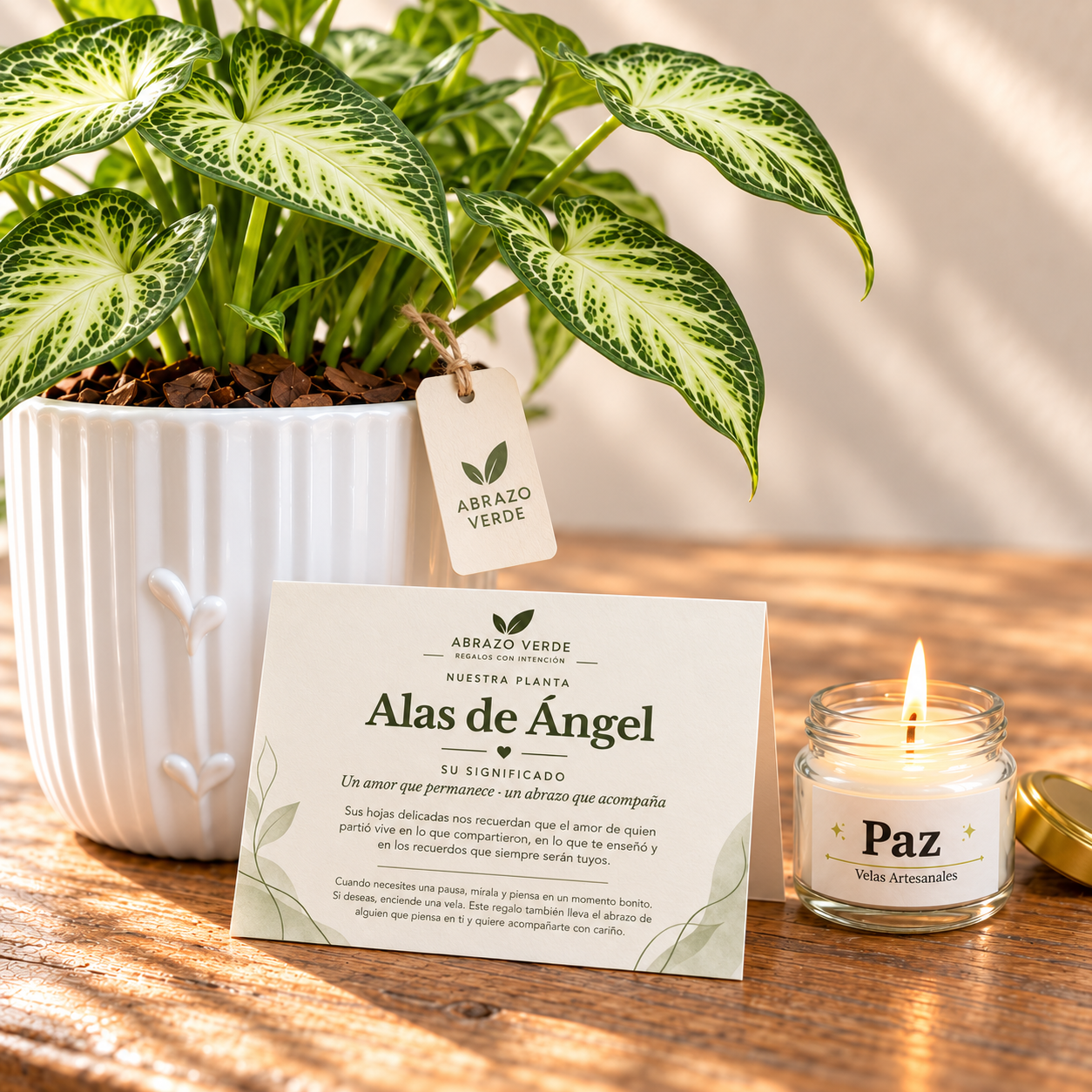 ALAS DE ÁNGEL | Planta de Condolencias con Vela LUZ