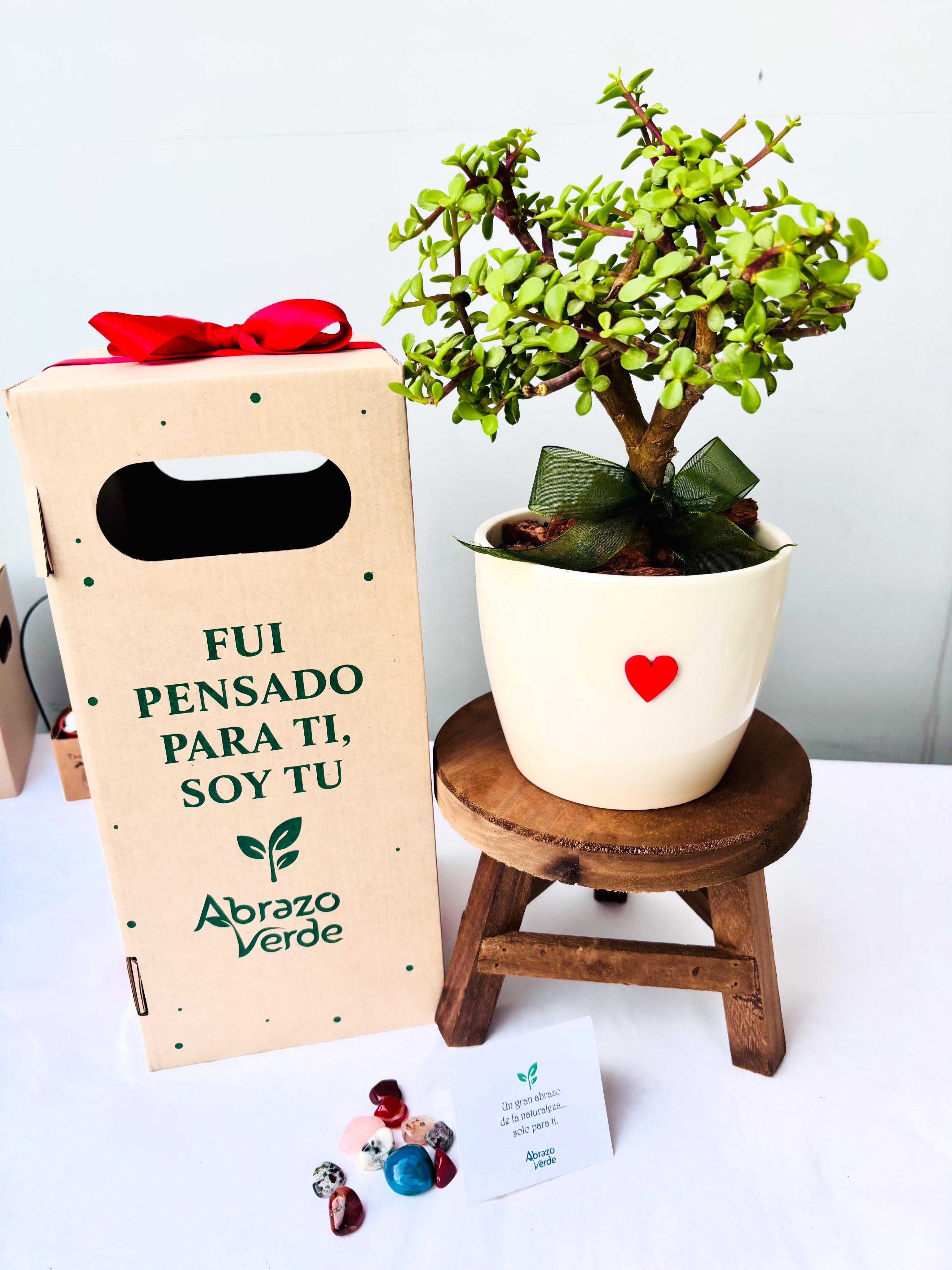 Arbolito de la abundancia