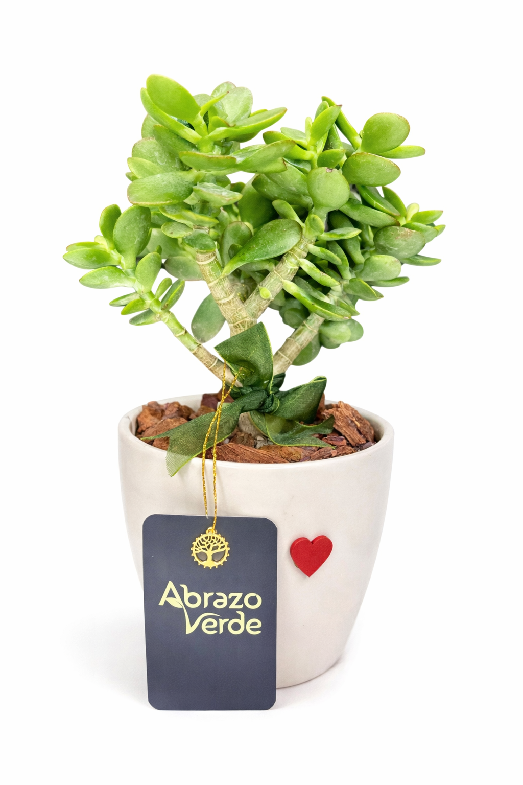 Jade – Prosperidad y Buena Fortuna