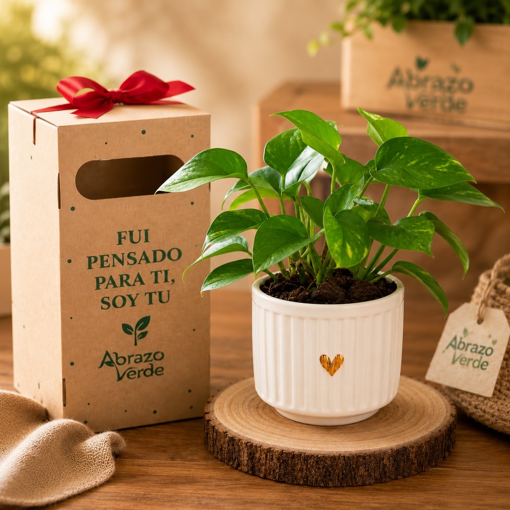 Pothos – Vida y Armonía en Movimiento