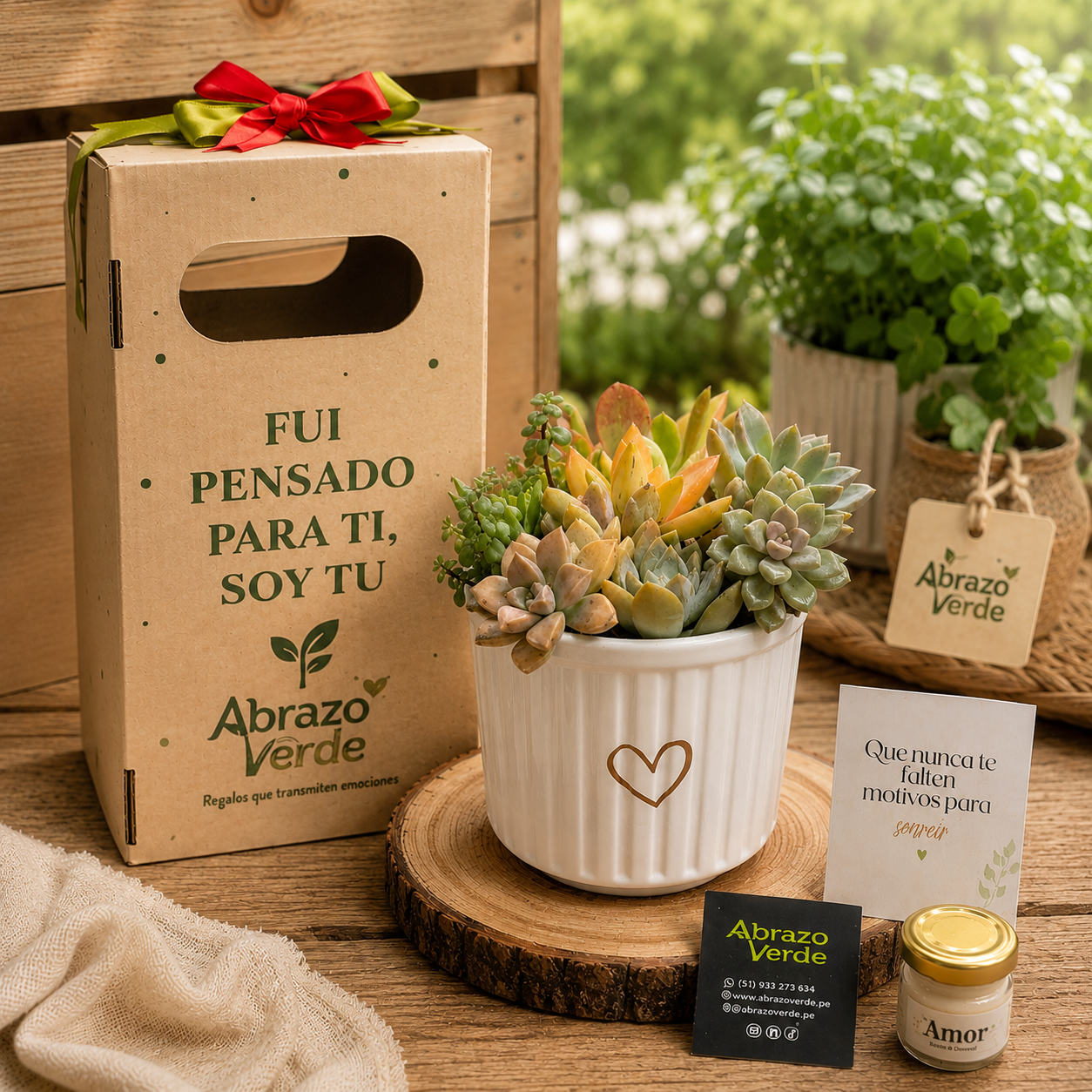 Mix de Suculentas – Equilibrio y Belleza Natural