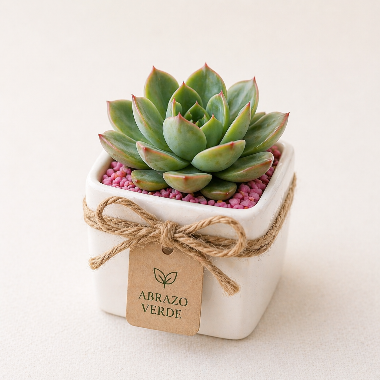 Recuerdos de Suculentas Personalizadas
