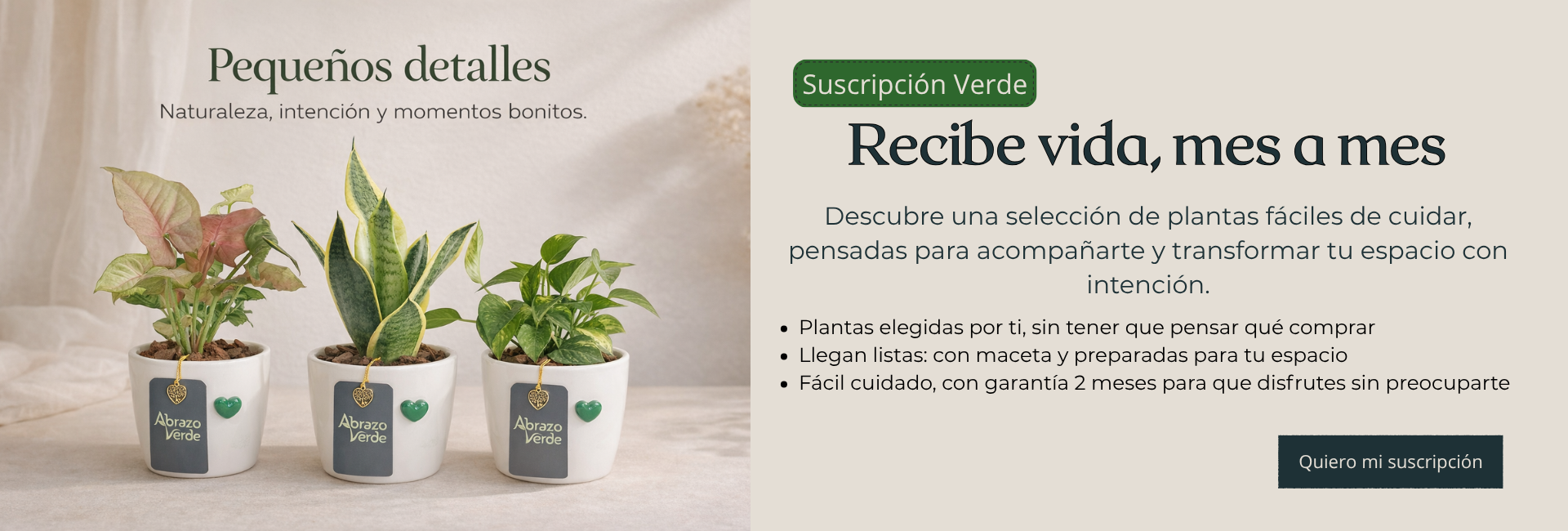 Nueva Colección Abrazo Verde